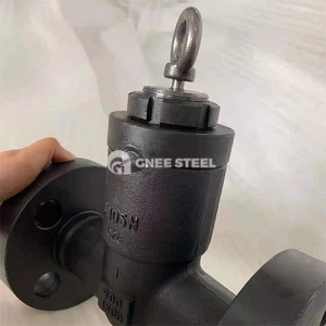 Forged Steel Check Valve Forged Steel Check Valve